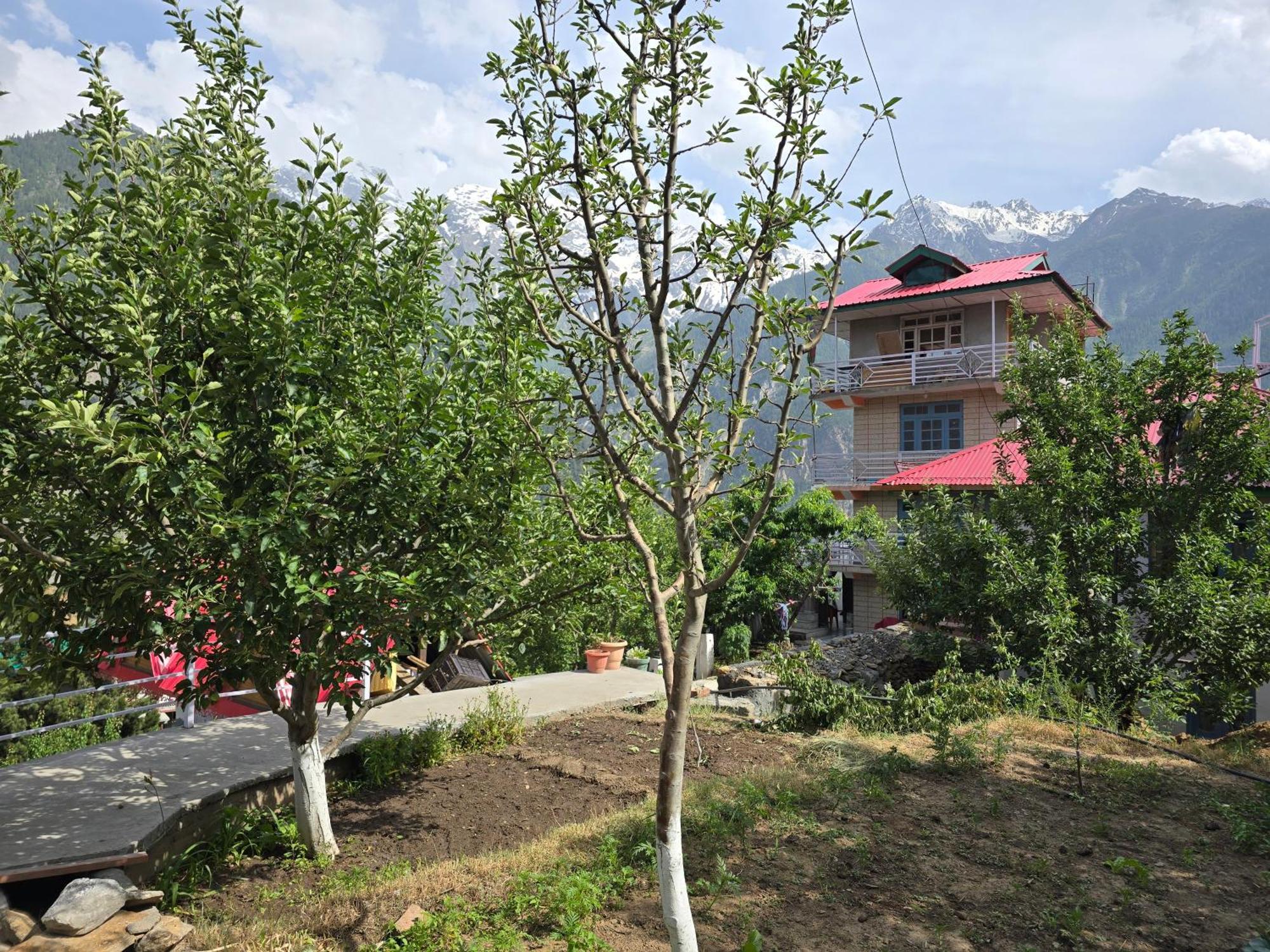 Kin Vatika