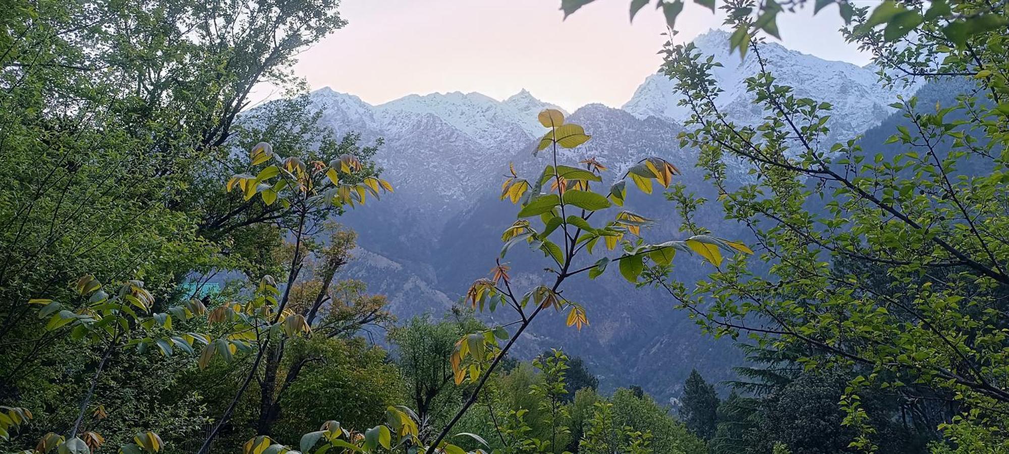 Kin Vatika Kalpa